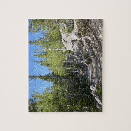 Trail to Alberta Falls Legpuzzel (Verticaal)