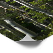 Trail to Alberta Falls Poster (Hoek)