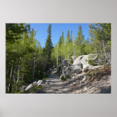 Trail to Alberta Falls Poster (Voorkant)