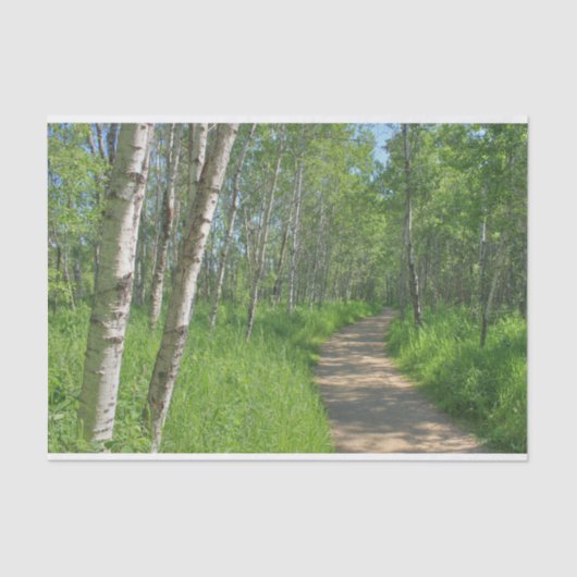 Trail Trough Tissuepapier (Voorkant)