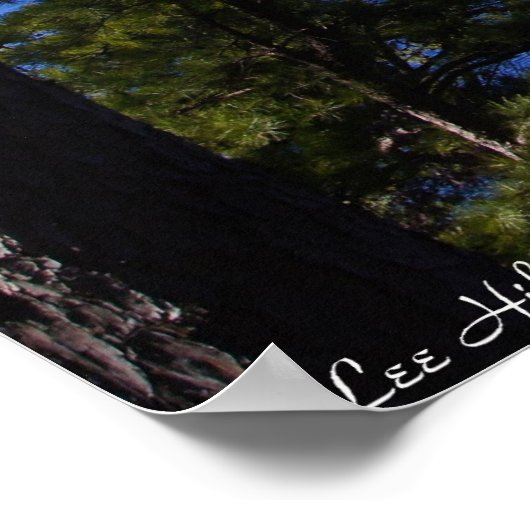 Trail Uitzicht Winter Lake Ouachita Arkansas Poste Poster (Hoek)