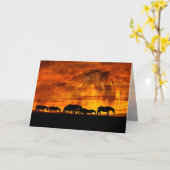 "Trail van de instellingszon" — Wenskaart Kaart (Gele Bloem)