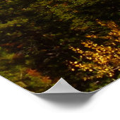 Trail van de Loch bij de Rocky Mountains Poster (Hoek)