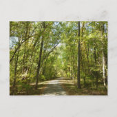 Trail van het Kittamaquandi-meer in Columbia Maryl Briefkaart (Voorkant)