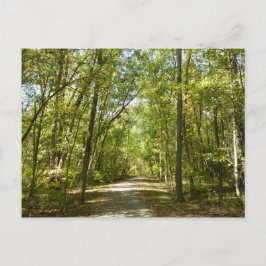 Trail van het Kittamaquandi-meer in Columbia Maryl Briefkaart