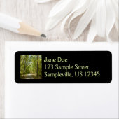 Trail van het Kittamaquandi-meer in Columbia Maryl Etiket (Insitu)