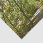 Trail van het Kittamaquandi-meer in Columbia Maryl Tissuepapier (Detail)