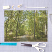 Trail van het Kittamaquandi-meer in Columbia Maryl Tissuepapier (Craft)