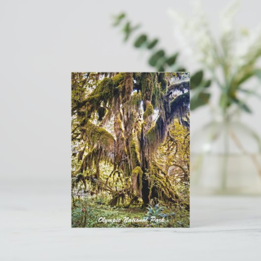 Trail van het Olympisch Park Briefkaart (Staand voorkant)