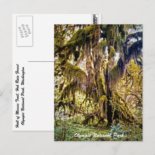 Trail van het Olympisch Park Briefkaart (Voorkant / Achterkant)