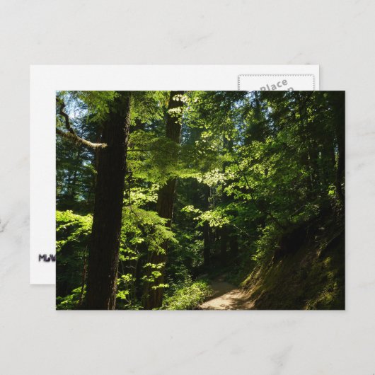 Trail vanaf Silver Herfsten Briefkaart (Voorkant / Achterkant)