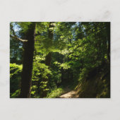 Trail vanaf Silver Herfsten Briefkaart (Voorkant)