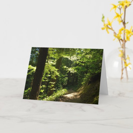 Trail vanaf Silver Herfsten Kaart (Gele Bloem)