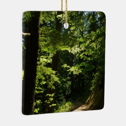 Trail vanaf Silver Herfsten Keramisch Ornament (Rechts)