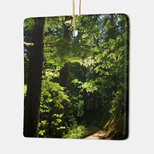 Trail vanaf Silver Herfsten Keramisch Ornament (Links)