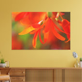 Trailend Oranje Begonia Canvas Afdruk (Insitu (Woonkamer))