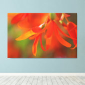 Trailend Oranje Begonia Canvas Afdruk (Insitu (Houten vloer))