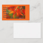 Trailend Oranje Begonia Visitekaartje (Voorkant / Achterkant)