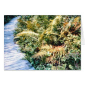 Trailside Flora (Voorkant Horizontaal)