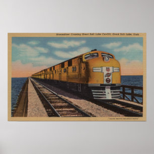 Train- Het kruising van het Grote Zoutenmeer, Ogde Poster