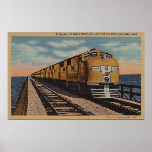 Train- Het kruising van het Grote Zoutenmeer, Ogde Poster (Voorkant)