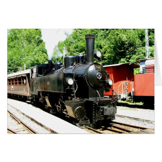 Train in Chamby (Voorkant Horizontaal)