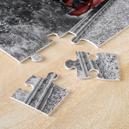 Train in Winter Scene Legpuzzel (Zijkant)