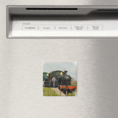 Train Magnet (Insitu (Vaatwasser))