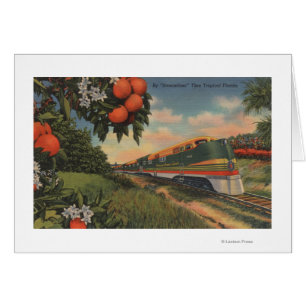 Train - Oranje speciaal bloesem