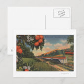 Train - Oranje speciaal bloesem Briefkaart (Voorkant / Achterkant)