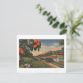 Train - Oranje speciaal bloesem Briefkaart (Staand voorkant)