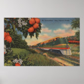 Train - Oranje speciaal bloesem Poster (Voorkant)