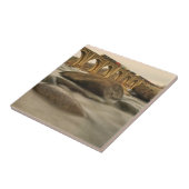 Train over James River Tegeltje (Zijkant)