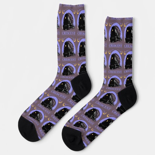 Train Socks Sokken (Links)
