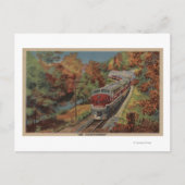 Train-The Thoroughbred, Monon Briefkaart (Voorkant)