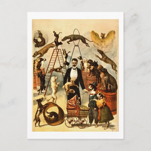 Trained Dog Act 1899  Circus Act Poster Briefkaart (Voorkant)