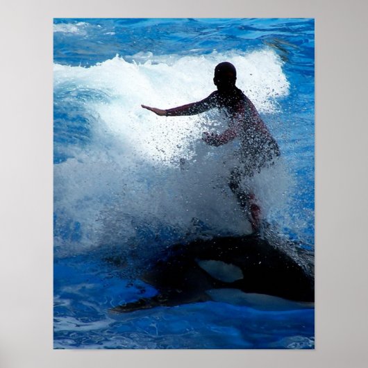 Trainer die op orca foto van killerwalvis rijdt poster (Voorkant)