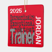 Trainer Extraordinaire CUSTOM Keramisch Ornament (Links)