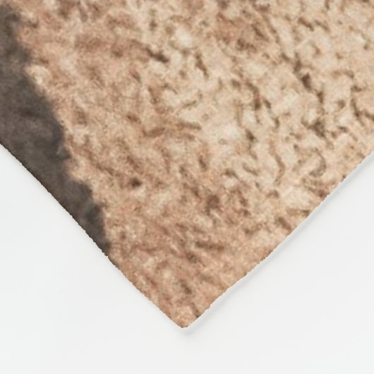 TRAINER FLEECE DEKEN (Hoek)