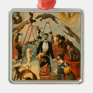 Trainingspond Theatrisch Poster Metalen Ornament