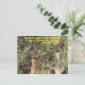 Trainingstips voor Squirrel Nnja Briefkaart (Staand voorkant)