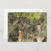 Trainingstips voor Squirrel Nnja Briefkaart (Voorkant / Achterkant)