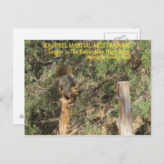 Trainingstips voor Squirrel Nnja Briefkaart (Voorkant / Achterkant)