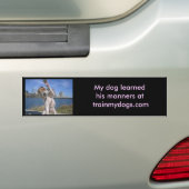 Trainmydogs.com Bumpersticker (Op auto)