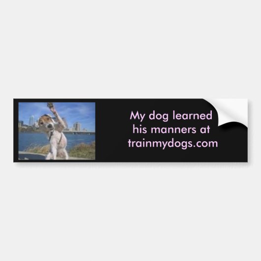 Trainmydogs.com Bumpersticker (Voorkant)