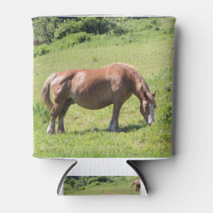 Trait Breton paard in een veld in Bretagne Blikjeskoeler