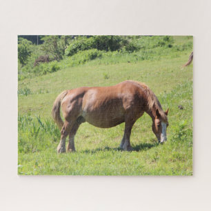 Trait Breton paard in een veld Legpuzzel