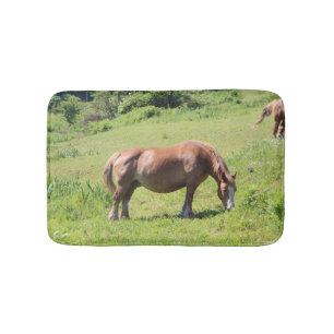 Trait Bretonse paard Badmat