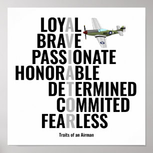 Traits van een Airman Poster