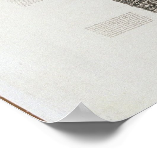 Trajan's column (graving) poster (Hoek)